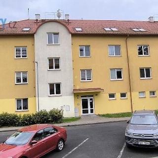 Pronájem bytu 1+1 48 m² Habartov, Karla Čapka