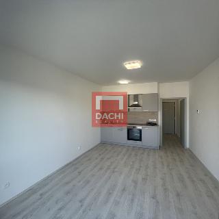 Pronájem bytu 1+kk a garsoniéry 28 m² Olomouc, Wolkerova