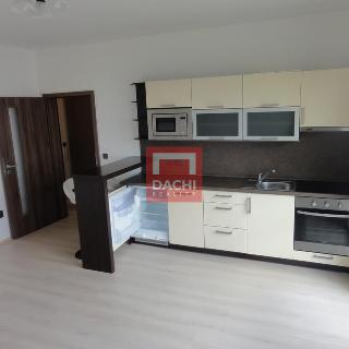 Pronájem bytu 1+kk a garsoniéry 32 m² Olomouc, Novosadský dvůr