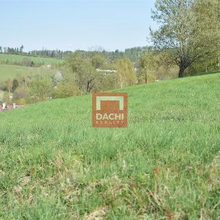 Prodej stavební parcely 11 569 m² Domašov nad Bystřicí, 