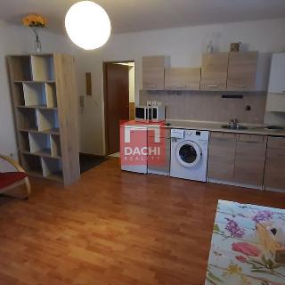 Pronájem bytu 1+kk a garsoniéry 30 m² Olomouc, U Zahrádek