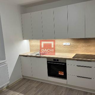 Pronájem bytu 2+1 54 m² Město Libavá