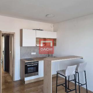 Prodej bytu 1+kk a garsoniéry 24 m² Olomouc, Aloise Rašína