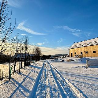 Prodej Ostatních komerčních prostor 85 m&sup2; Červená Voda