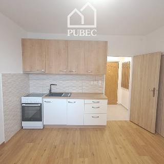 Pronájem bytu 1+1 35 m² Plzeň, Sokolovská