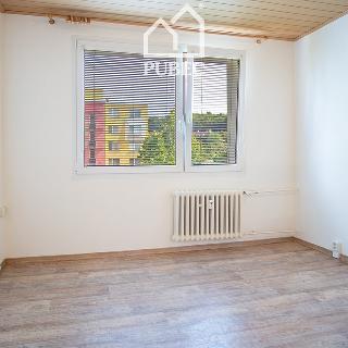 Pronájem bytu 1+kk a garsoniéry 20 m² Plzeň, Popelnicová