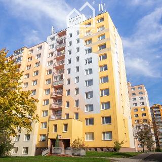 Pronájem bytu 1+1 38 m² Plzeň, Sokolovská