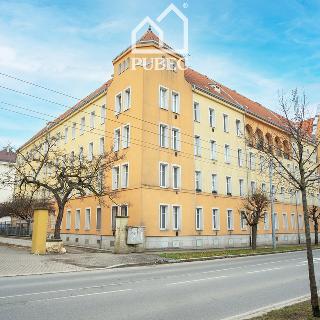 Prodej bytu 1+kk a garsoniéry 42 m² Plzeň, Lobezská