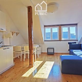 Pronájem bytu 2+kk 37 m² Plzeň, Zikmunda Wintra