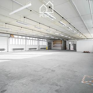 Pronájem výrobního objektu 895 m&sup2; Horní Bříza