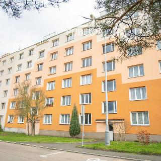 Prodej bytu 2+1 50 m² Plzeň, Pod Vrchem