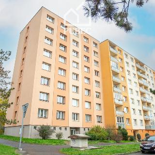 Prodej bytu 1+1 32 m² Plzeň, Elišky Krásnohorské