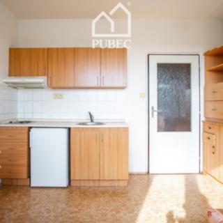 Prodej bytu 1+kk a garsoniéry 21 m² Plzeň, Kreuzmannova