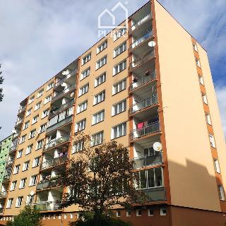 Prodej bytu 1+kk a garsoniéry 22 m² Plzeň, Sokolovská