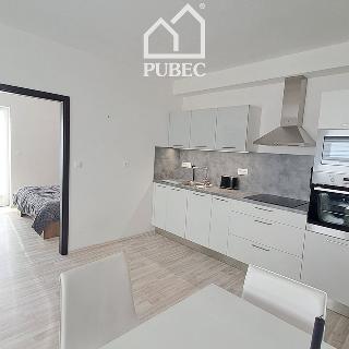 Pronájem bytu 2+kk 51 m² Plzeň, U Velkého rybníka