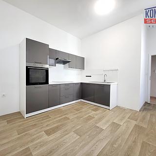Pronájem bytu 2+1 86 m&sup2; České Budějovice