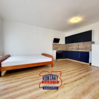 Pronájem bytu 1+kk a garsoniéry 46 m² České Budějovice, 