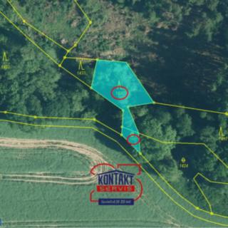 Prodej lesa 18 003 m² Němčovice, 