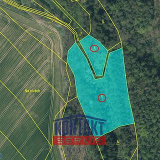 Prodej lesa 23812 m&sup2; Bečice