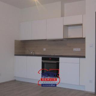 Pronájem bytu 1+kk a garsoniéry 31 m² České Budějovice, 