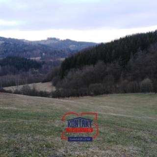 Prodej lesa 13657 m² Lužná