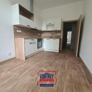 Pronájem bytu 2+1 83 m² České Budějovice