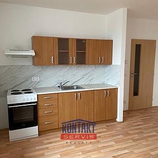 Pronájem bytu 2+kk 48 m&sup2; České Budějovice
