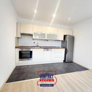 Pronájem bytu 2+kk 47 m² České Budějovice 3, Průběžná