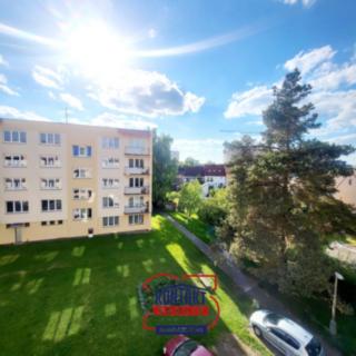 Pronájem bytu 1+1 38 m² České Budějovice 7, J. Buděšínského
