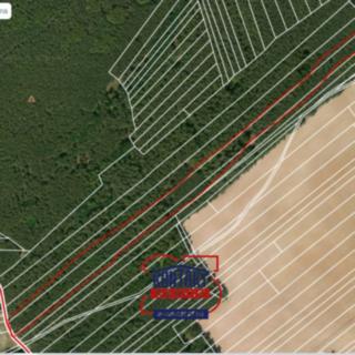 Prodej lesa 14637 m&sup2; Štichovice