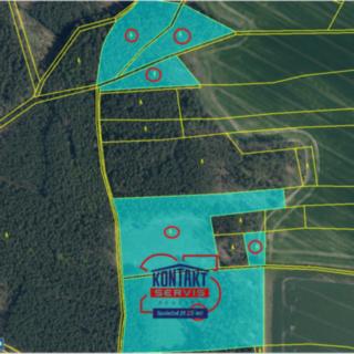 Prodej lesa 100 105 m² Bítouchov, 