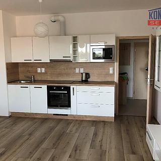 Pronájem bytu 2+kk 57 m&sup2; České Budějovice