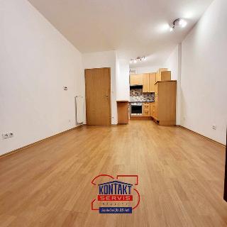 Pronájem bytu 2+kk 49 m² České Budějovice, Dobrovodská