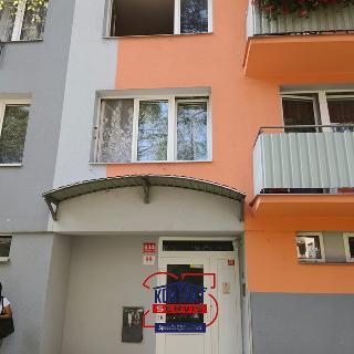 Pronájem bytu 1+kk a garsoniéry 22 m² České Budějovice, Plzeňská