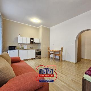 Pronájem bytu 1+kk a garsoniéry 29 m² České Budějovice, B. Smetany