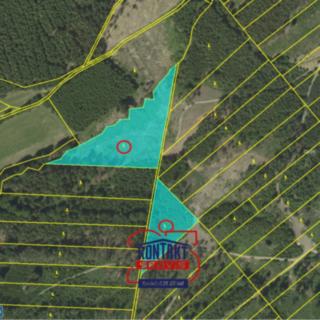 Prodej lesa 70 821 m² Jevíčko, 