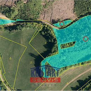 Prodej lesa 13657 m&sup2; Lužná