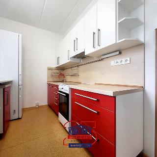 Pronájem bytu 4+1 75 m² České Budějovice, V. Volfa