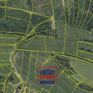 Prodej lesa 10 542 m² Tehov