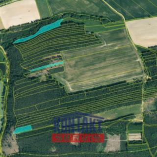 Prodej lesa 16790 m&sup2; Kožlany