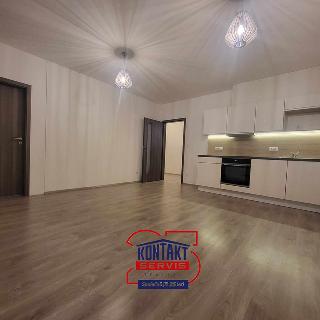 Pronájem bytu 2+kk 57 m² České Budějovice, 