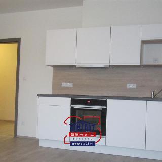 Pronájem bytu 2+kk 57 m² České Budějovice, 