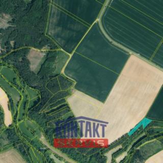Prodej lesa 16790 m² Kožlany