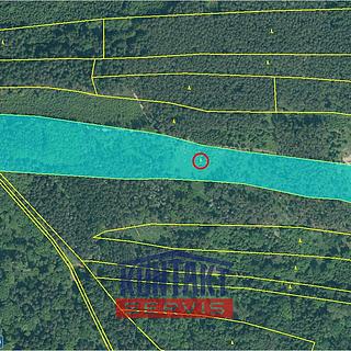 Prodej lesa 32226 m&sup2; Krašlovice