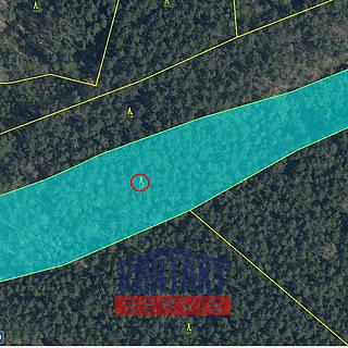 Prodej lesa 100105 m&sup2; Bítouchov