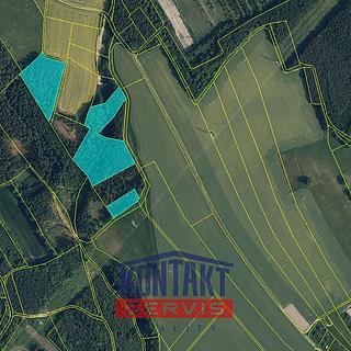 Prodej lesa 30767 m&sup2; Sychrov