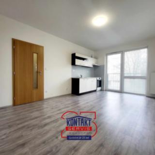 Pronájem bytu 1+kk, garsoniery 30 m² České Budějovice