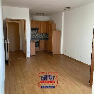 Pronájem bytu 2+kk 49 m² České Budějovice, Dobrovodská