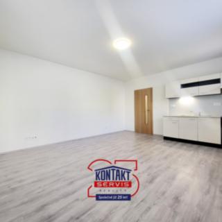Pronájem bytu 1+kk, garsoniery 30 m² České Budějovice