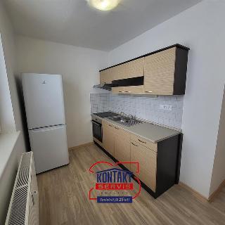 Pronájem bytu 1+1 37 m² Český Krumlov, 